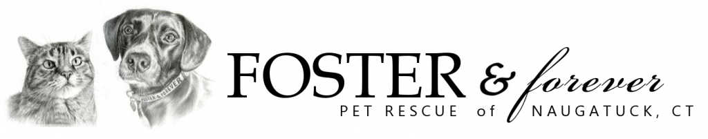 Foster and Forever Pet Rescue