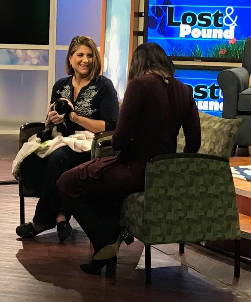 WFSB Channel 3 “Lost & Pound”