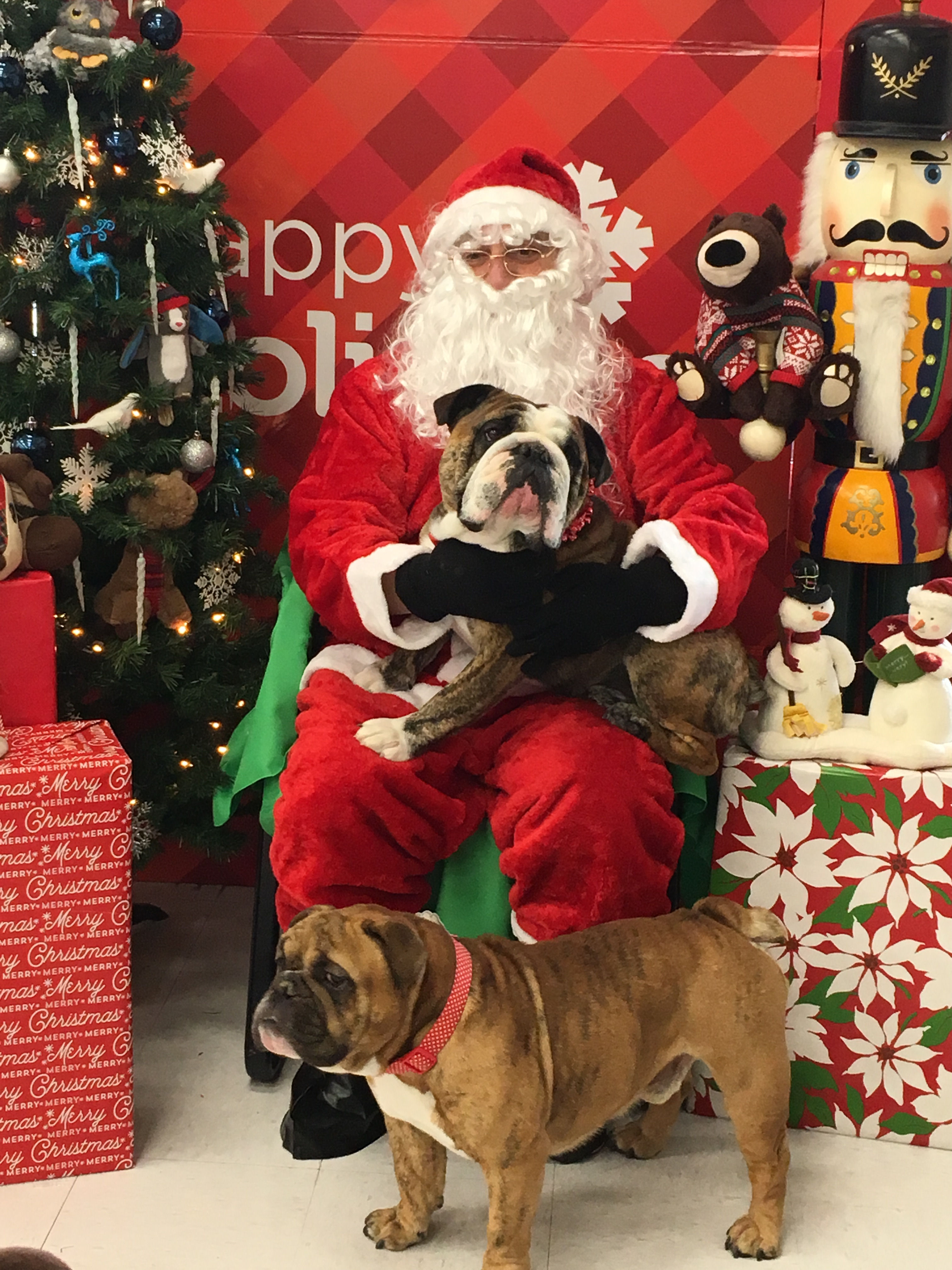 Photos with Santa @ Petco